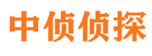 西市侦探公司